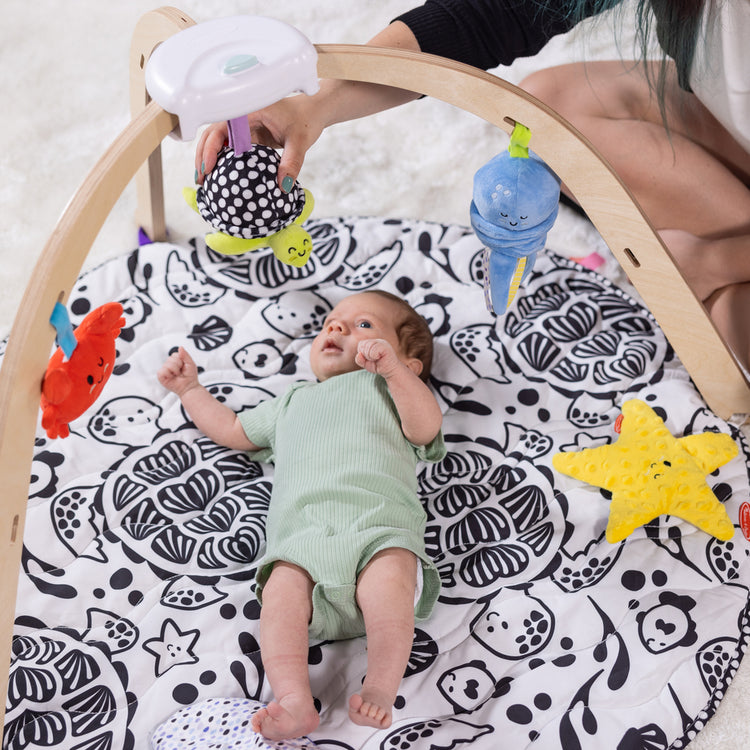 Melissa & Doug Sneak Peek-a-Boo Our Ocean Easy-Fold Play Gym for Babies blog post