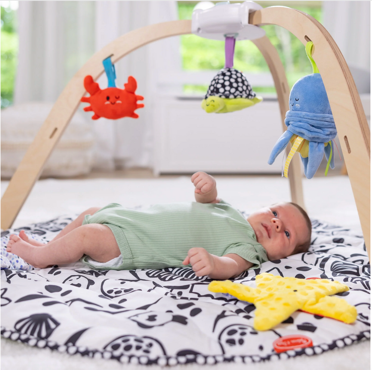 Melissa & Doug What to Look for When Shopping for a Baby Gym blog post