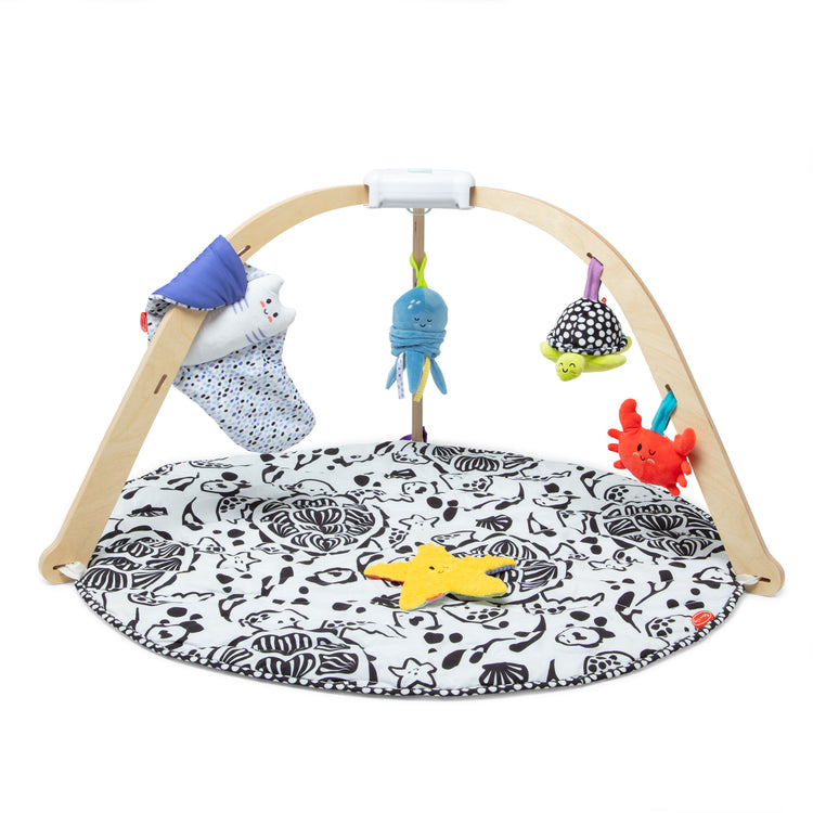  The Melissa & Doug Ocean Easy-Fold Play Gym Developmental Toy for Infants, Reversible Mar, 5 Soft Toys, Birth to 9 Months