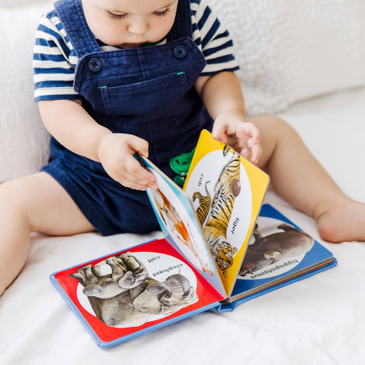 A kid playing with The Melissa & Doug Children’s Book – Poke-a-Dot: Wild Animal Families (Board Book with Buttons to Pop)