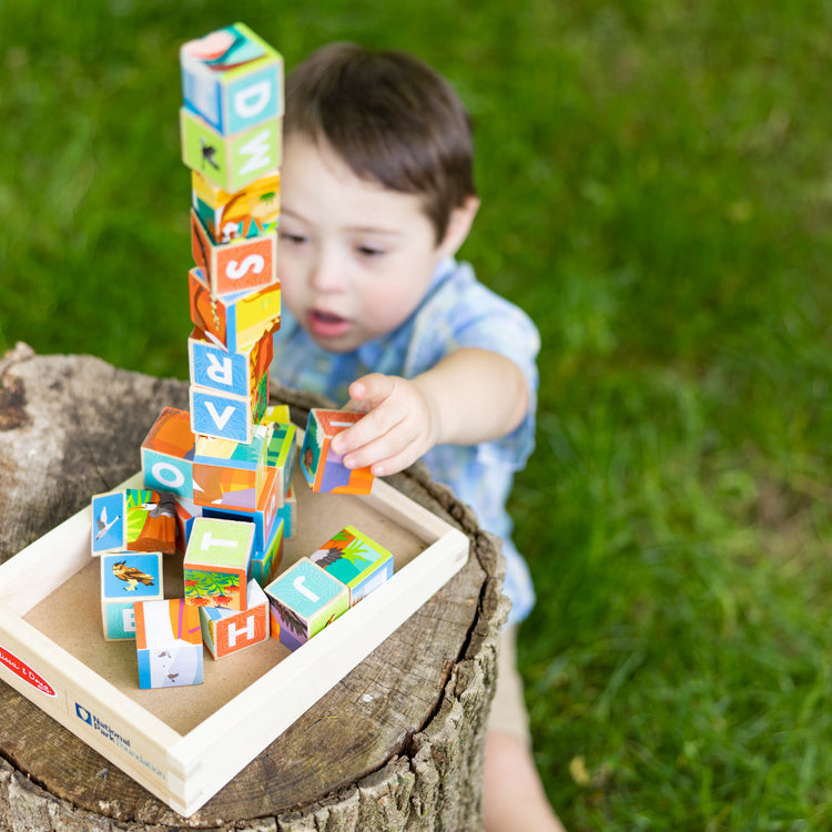 Eco-Friendly Toddler Toys, Wooden Tray Puzzle