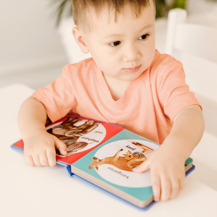 A kid playing with The Melissa & Doug Children’s Book – Poke-a-Dot: Wild Animal Families (Board Book with Buttons to Pop)