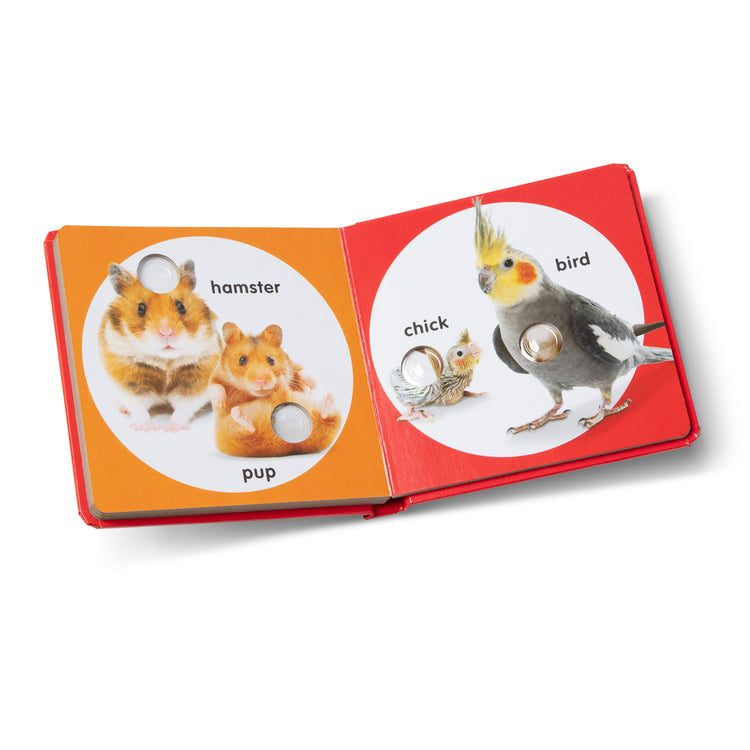 Poke-A-Dot Animal Families - Set of 3 Books by Melissa & Doug - Yahoo  Shopping