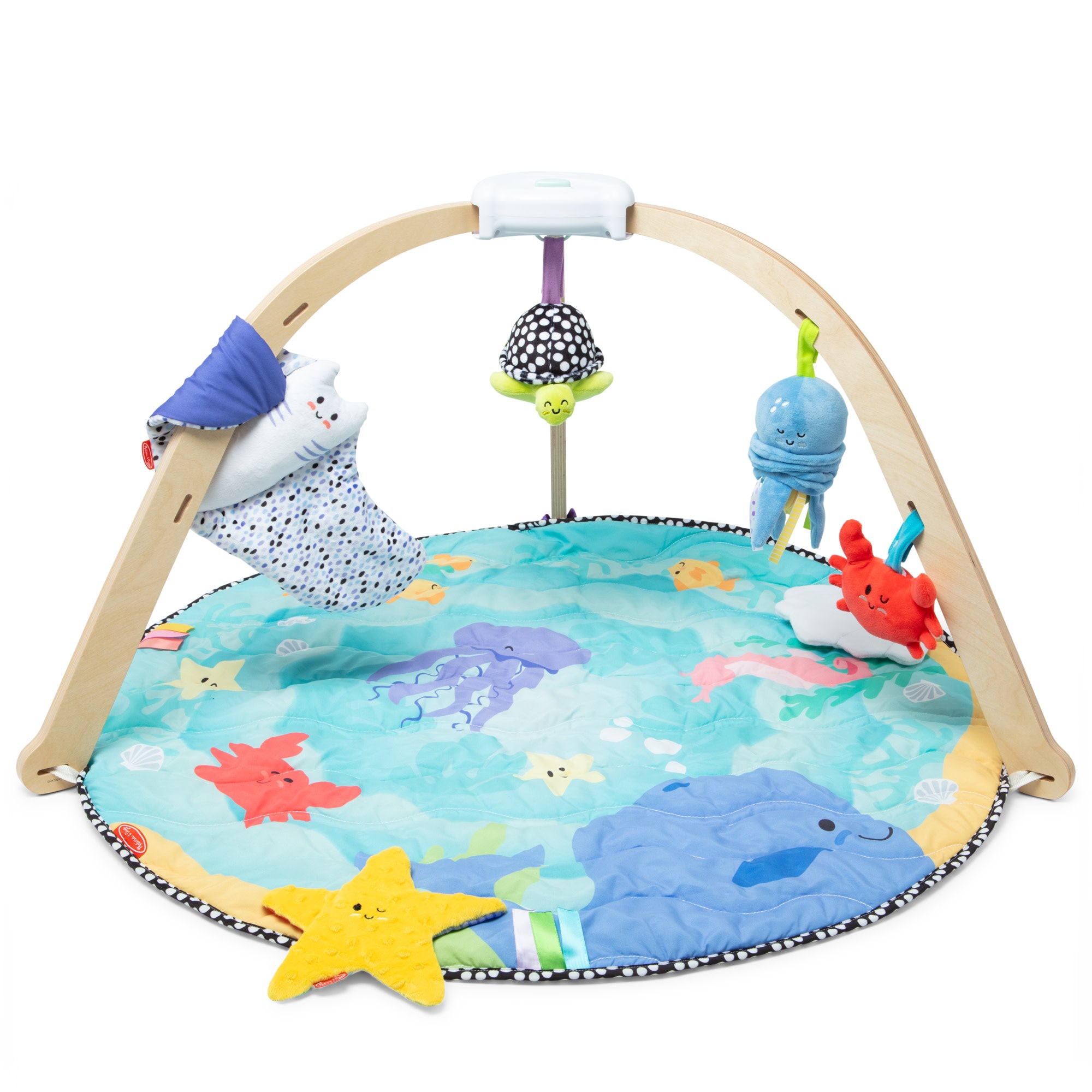 Ocean play gym on sale