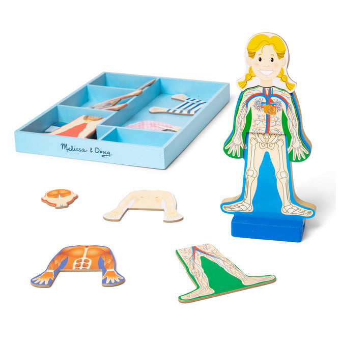 Magnetic Human Body Play Set