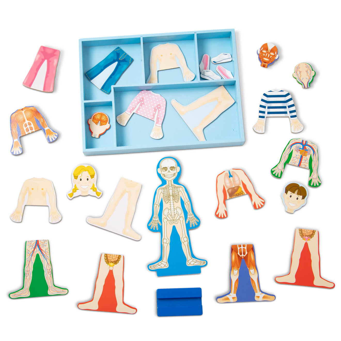 Melissa and doug magnetic sales human body