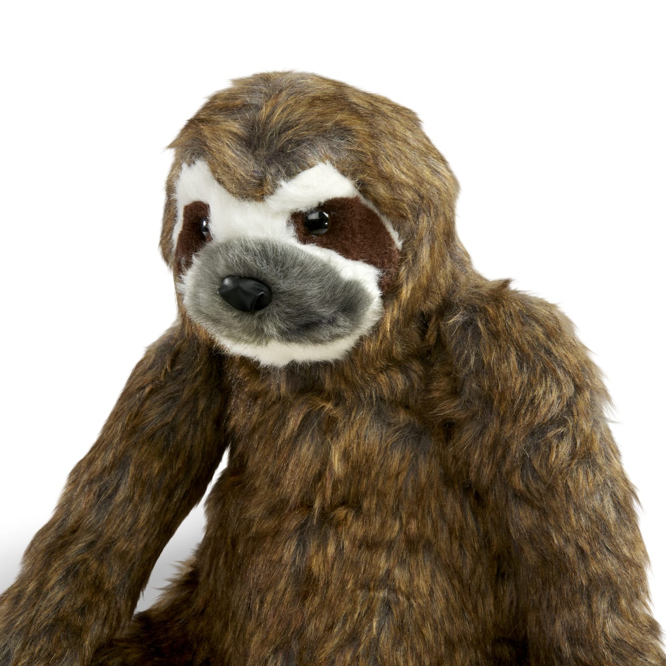 Realistic 2024 stuffed sloth